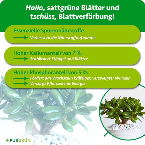Infografik für Purgrün Pflanzendünger mit Infos zu Spurennährstoffen, 7 Prozent Kalium für Blattstabilität und 5 Prozent Phosphor für Wurzelwachstum.