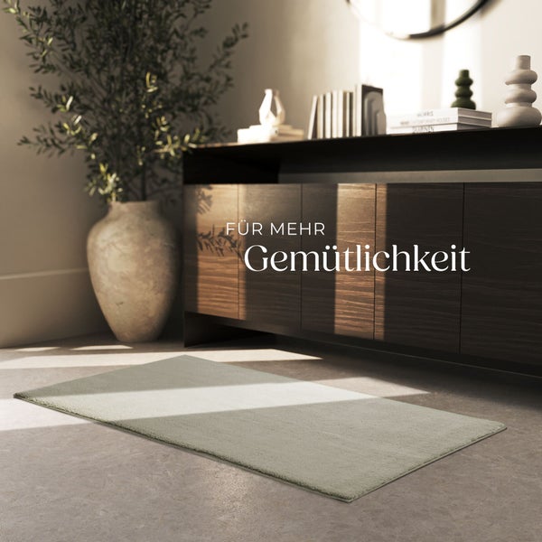 Ein flachfloriger Teppich in einem modern eingerichteten Wohnzimmer mit einem Sideboard aus Holz und einer großen Zimmerpflanze.