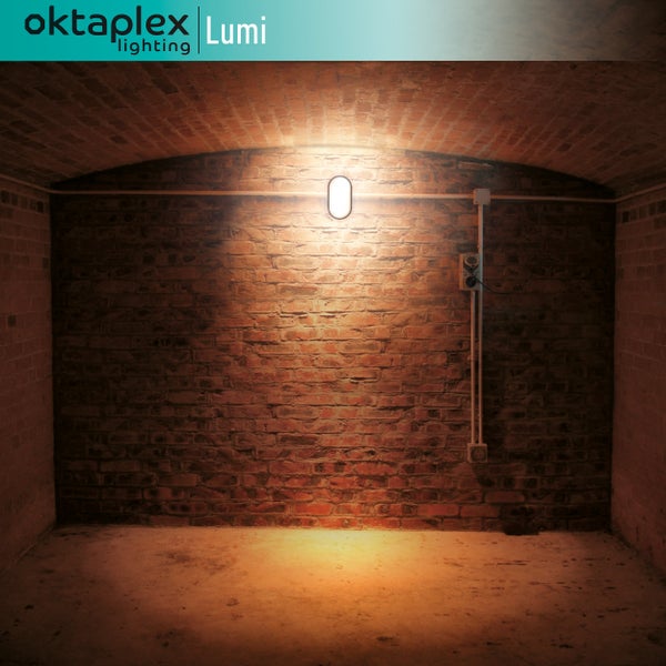 Innenaufnahme eines Kellers mit Ziegelwänden und einer ovalen Wandleuchte von Oktaplex Lumi