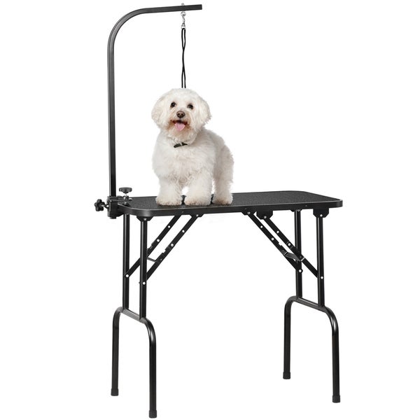 Hund auf einem Hundefrisiertisch mit Galgen