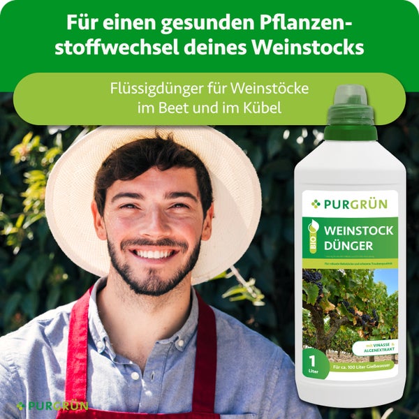 Bio-Weinstock-Dünger von Purgrün, 1 Liter Konzentrat für circa 100 Liter Gießwasser, mit Dosierkappe und Abbildung gesunder Weintrauben.