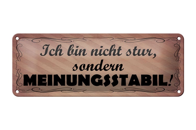 Blechschild Spruch 27x10cm bin nicht stur meinungsstabil Dekoration