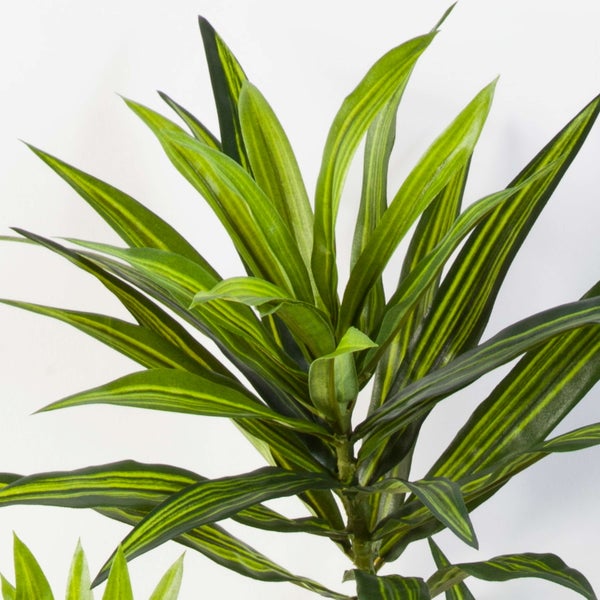 Künstliche Dracaena mit gelb-grün gestreiften Blättern.