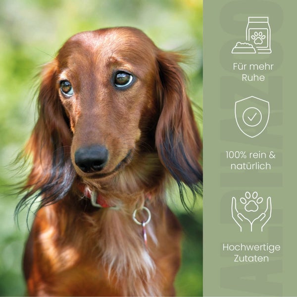 alphazoo Alpha-Zegg Futteröl für Hunde 250ml