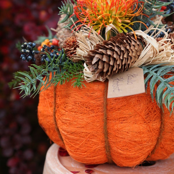 Dekorativer Kürbis mit Tannenzapfen und Pflanzen als Herbstdekoration