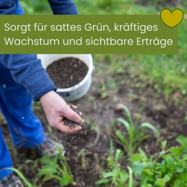 Ein Mann düngt ein Feld mit Dünger.