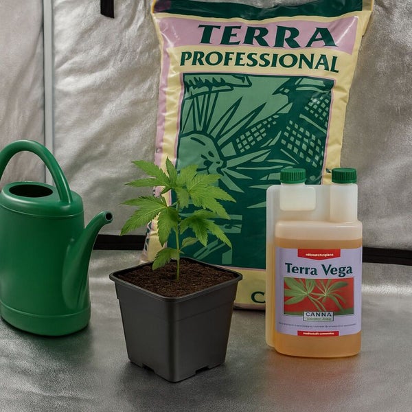 Pflanze in einem Topf mit Canna Terra Professional Erde, Canna Terra Vega Pflanzendünger und einer Gießkanne in einem Anbauraum.