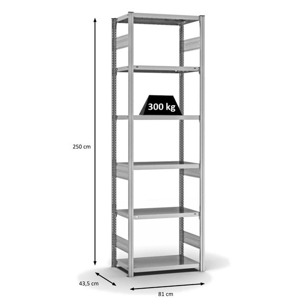 PROREGAL Fachbodenregal Stecksystem T-Profil Heavy-Duty Grundregal HxBxT 250 x 75 x 40 cm 6 Ebenen Fachlast 315 kg Beidseitig Nutzbar Verzinkt