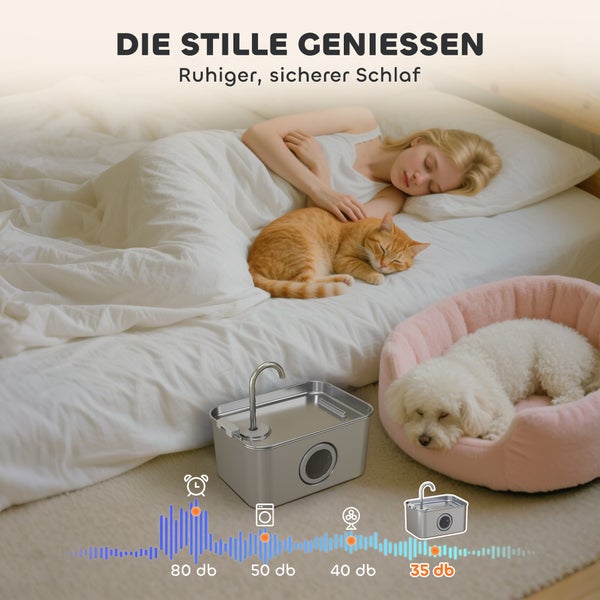 Szene mit schlafender Person, Katze, Hund und Wasserbrunnen zur Veranschaulichung eines ruhigen Schlafs.