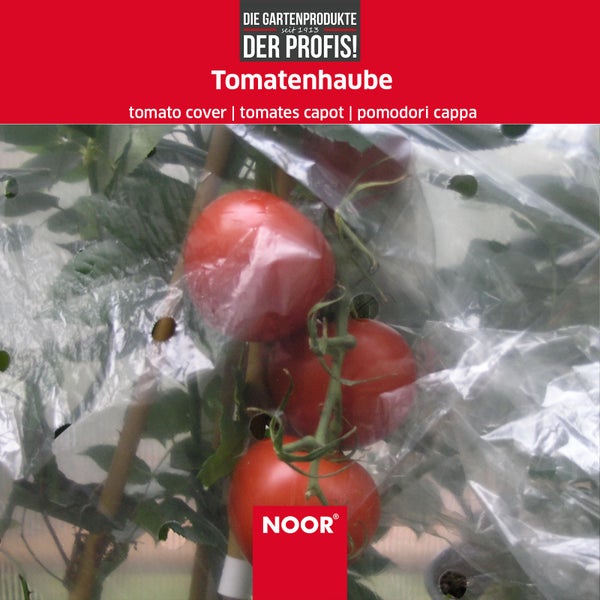 Frühbeet Tomatenhaube  - Abdeckfolie für Ihre Tomatenpflanzen - 65 cm x 10 m - ideales Mikroklima für verbessertes Wachstum