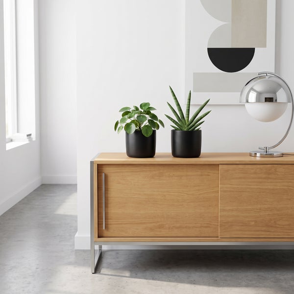 Sideboard aus Holz mit zwei schwarzen Pflanzentöpfen und einer modernen Tischleuchte vor einer weißen Wand.