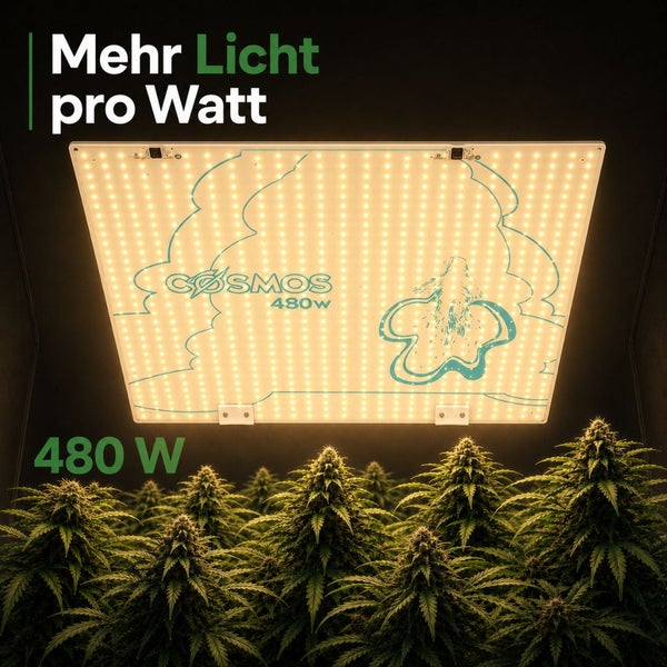 Rechteckige LED Pflanzenlampe Cosmos mit 480 Watt über Pflanzen, Cosmos Logo, Text Mehr Licht pro Watt.