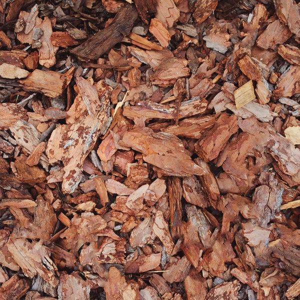 Haufen aus grobem Pinienrindenmulch zur Bodenabdeckung im Garten.