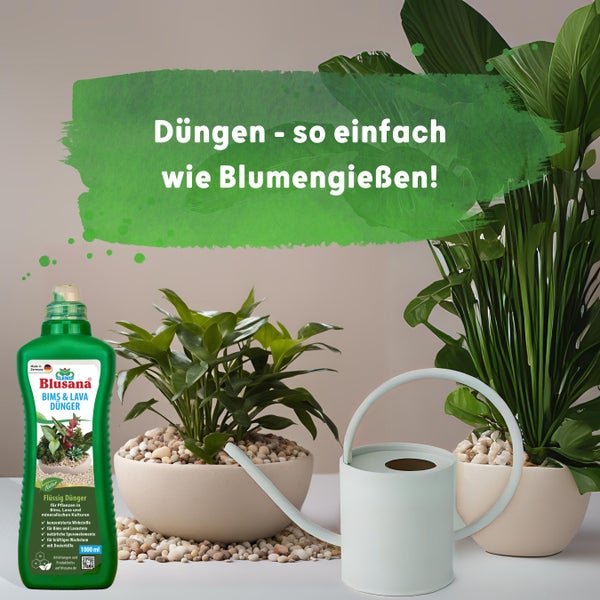 Blusana Bims & Lava Flüssigdünger NPK 10-4-6 Spezialdünger für mineralische Pflanzsubstrate und Gestein 1l Pflanzendünger für Grünpflanzen Kräuter Obst Gemüse Hydrokultur