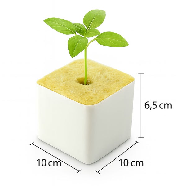 Steinwolle Anzuchtwürfel 10x10x6,5 cm – Großes Loch – 276 Stk. – Für kräftige Pflanzen & Hydroponik