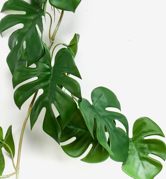 Behaarter Samenstand einer Küchenschelle.