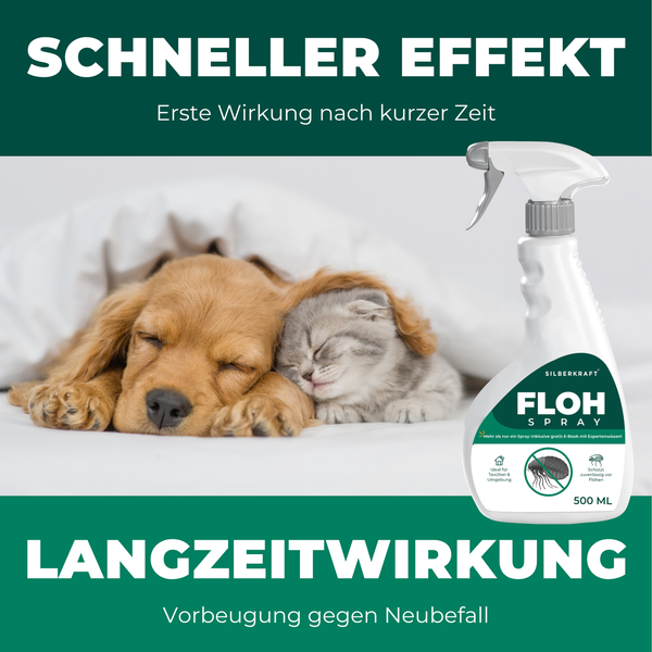 Flohspray neben schlafendem Hund und Katze
