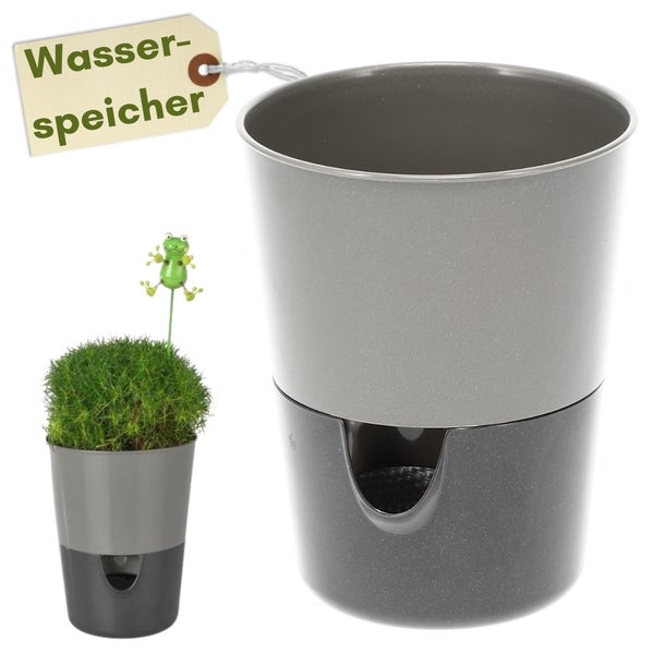 Blumentopf mit Wasserspeicher und Pflanze