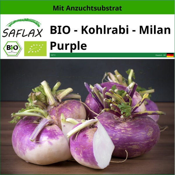 SAFLAX  - BIO - Kohlrabi - Milan Purple - Brassica rapa - 600 Samen - Mit keimfreiem Anzuchtsubstrat