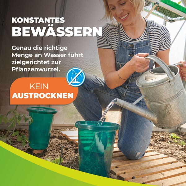 Hochbeet Bewässerungssystem Hydro Cup mit 4 Tonkegeln und Becheraufsätzen
