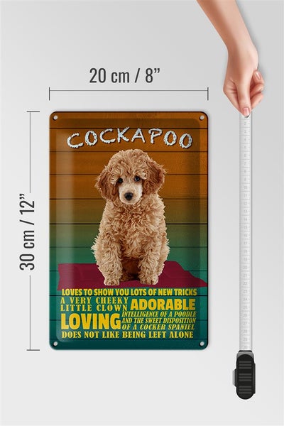 Blechschild Spruch 20x30cm Cockapoo Hund loves to show you