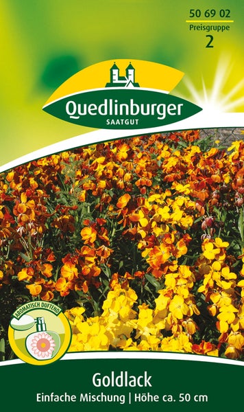 Quedlinburger Saatgut Logo, Goldlack Einfache Mischung, Höhe circa 50 cm, aromatisch duftend, orangefarbene und gelbe Blüten.