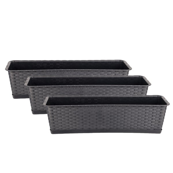 Topf mit purpurnen Knöpfchenblumen auf dem Balkon