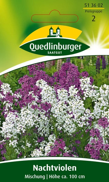 Samentüte für Nachtviolen Mischung, Quedlinburger Saatgut Logo, Wuchshöhe circa 100 Zentimeter, weiße und violette Blüten.