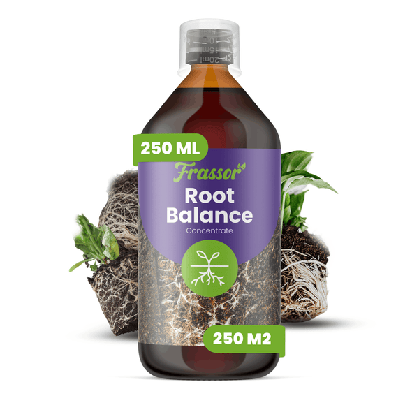 Frassor Root Balance Konzentrat, 250 Milliliter Flasche für 250 Quadratmeter, Pflanzenstärkungsmittel zur Förderung des Wurzelwachstums.