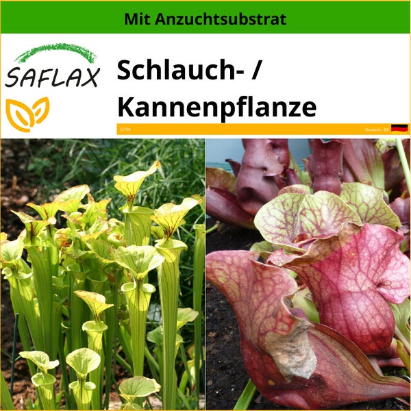 SAFLAX  - Schlauch- / Kannenpflanze - Sarracenia flava / S. purpurea - Mix - 10 Samen - Mit keimfreiem Anzuchtsubstrat