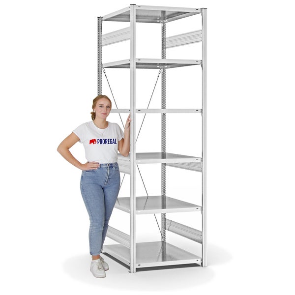 PROREGAL Fachbodenregal Stecksystem T-Profil Medium-Duty Grundregal HxBxT 250 x 75 x 80 cm 6 Ebenen Fachlast 230 kg Einseitig Nutzbar Lichtgrau