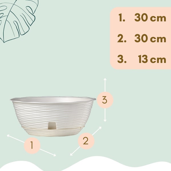 Abbildung eines Blumentopfes mit den Maßangaben 30 cm Durchmesser und 13 cm Höhe.