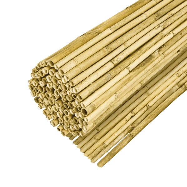Bündel Bambusrohre für den Garten
