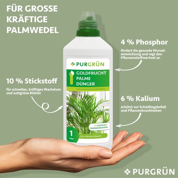 Purgrün Goldfruchtpalme-Dünger 1 Liter