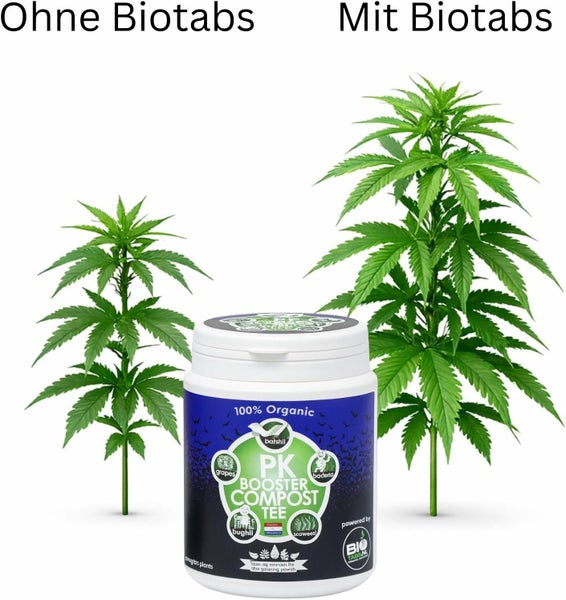 Vergleich des Pflanzenwachstums mit und ohne Biotabs PK Booster Compost Tee. Die Pflanze mit organischem Dünger ist deutlich größer und kräftiger.