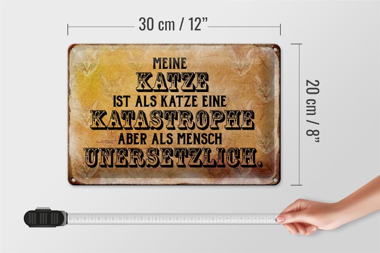 Blechschild Spruch 30x20cm meine Katze ist eine Katastrophe