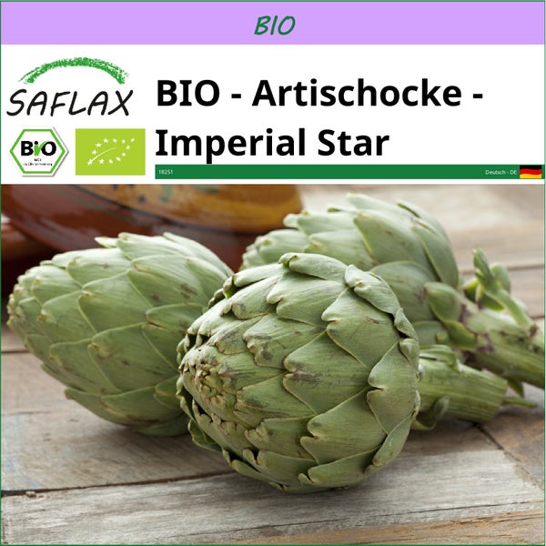 SAFLAX  - BIO - Artischocke - Imperial Star - Cynara scolymus - 5 Samen