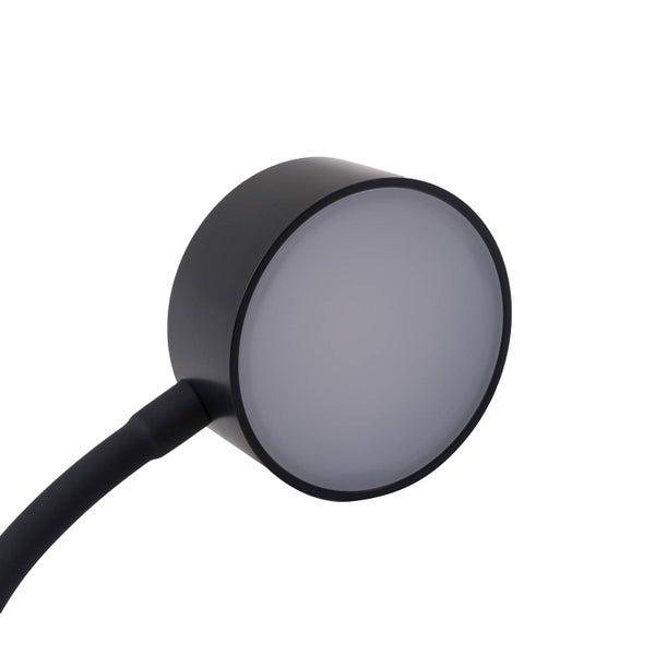 Runder Lampenkopf in Schwarz mit mattem Diffusor und flexiblem Arm.