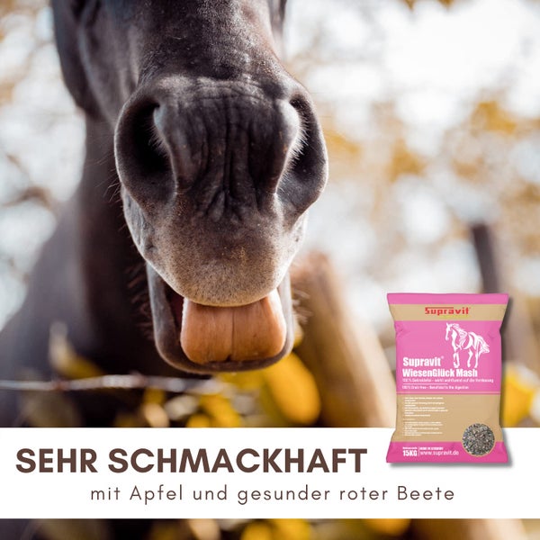 Pferdefutter WiesenGlück Mash von Supravit mit Apfel und Roter Bete vor einem Pferd