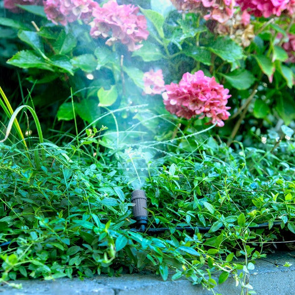 Mikrosprüher zur Gartenbewässerung in einem Beet mit grünen Pflanzen und pinken Hortensien.