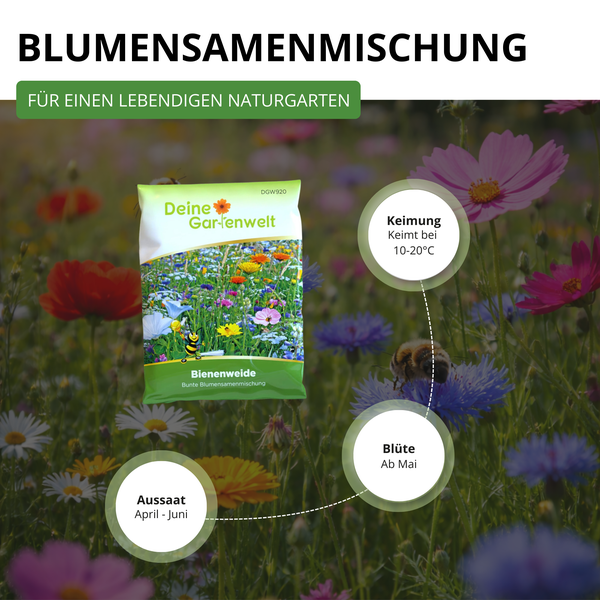 Deine Gartenwelt Bienenweide Blumensamenmischung für Naturgärten. Aussaat April bis Juni, Blüte ab Mai, Keimung bei 10 bis 20 Grad Celsius.