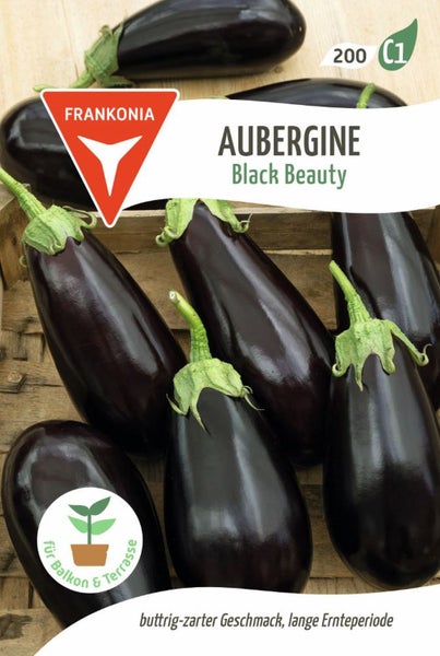 Aubergine Black Beauty Samenpackung