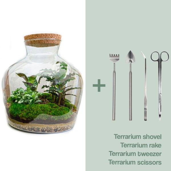 Flaschengarten Fat Joe DIY-Pflanzenterrarium 30 cm incl. Rechen, Schaufel, Pinzette und Schere