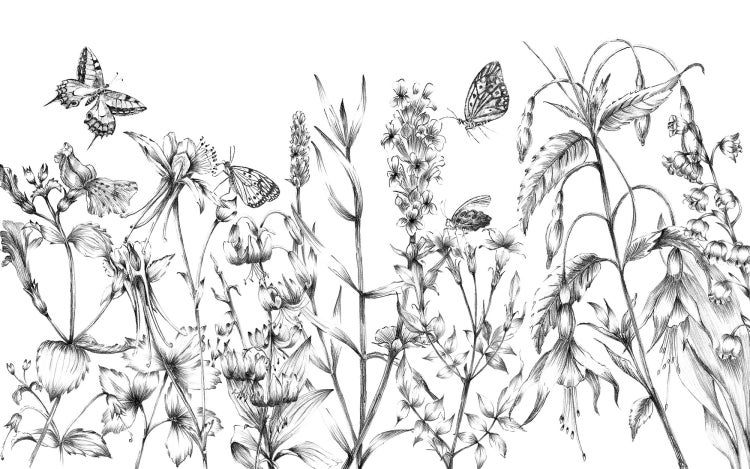 Illustration von Blumen und Schmetterlingen