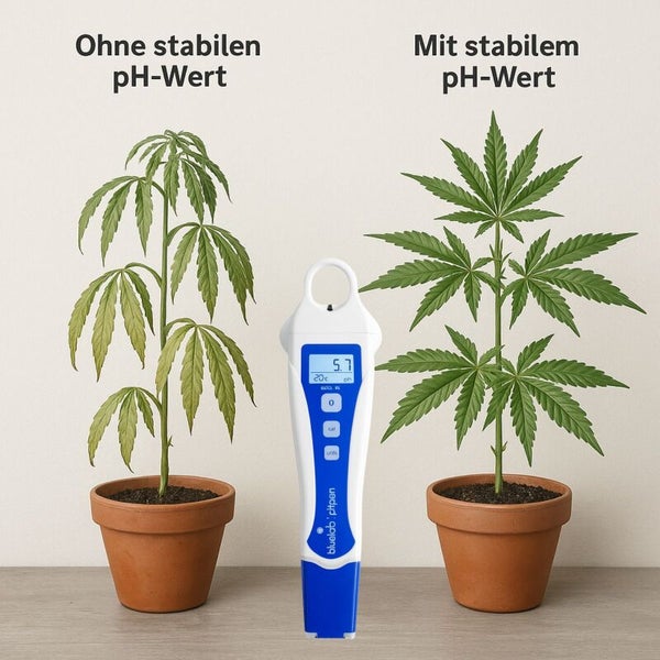 Darstellung eines pH-Messgeräts im Vergleich von Pflanzenwachstum mit und ohne stabilen pH-Wert