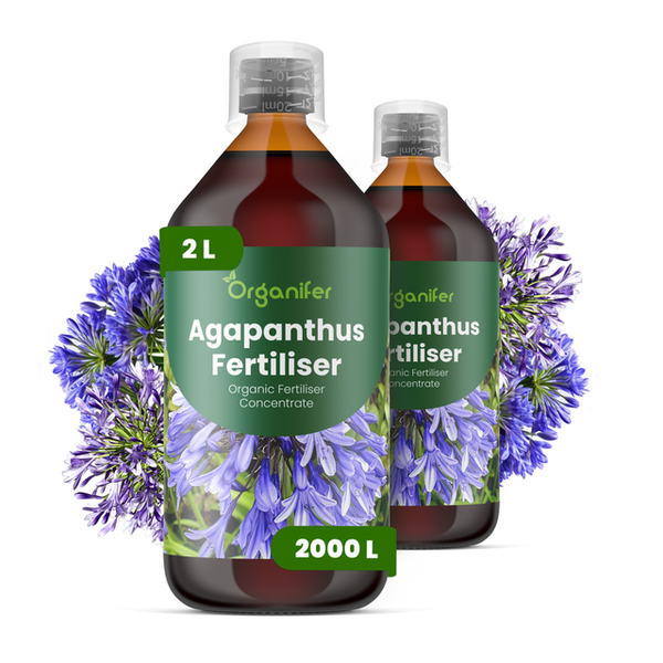 Organifer Agapanthus Dünger, organisches Düngerkonzentrat, 2 Liter Flasche.