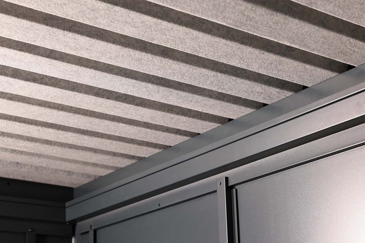 Pinguicula Weser im Topf