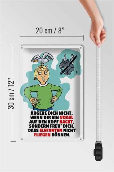 Blechschild Spruch 20x30cm Freu dich Elefanten nicht fliegen