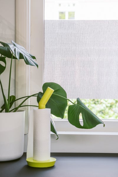Modernes Fenster mit hellem Rollo in Leinenoptik, einer Monstera-Pflanze im Topf und einem Küchenrollenhalter in einem hellen Raum.