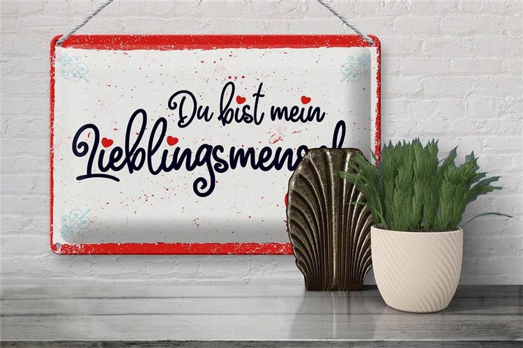 Blechschild Spruch 30x20cm Du bist mein Lieblingsmensch